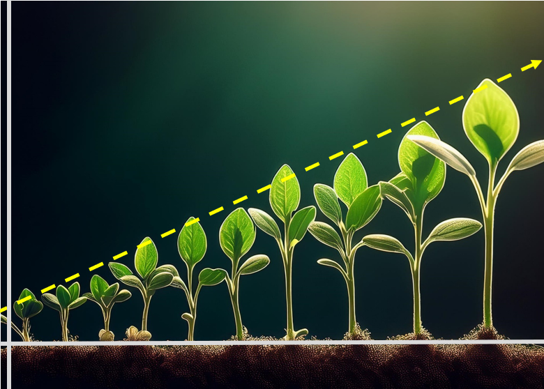 A row of green plants, each sequentially larger than the next, with coordinate axes and a linear graph superimposed over the tops of the plants.